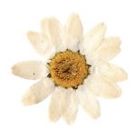 Screenshot 2023-09-25 at 23.05.47