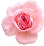 Screenshot 2023-10-12 at 19.49.38